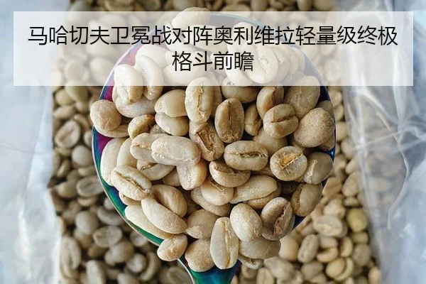 马哈切夫卫冕战对阵奥利维拉轻量级终极格斗前瞻