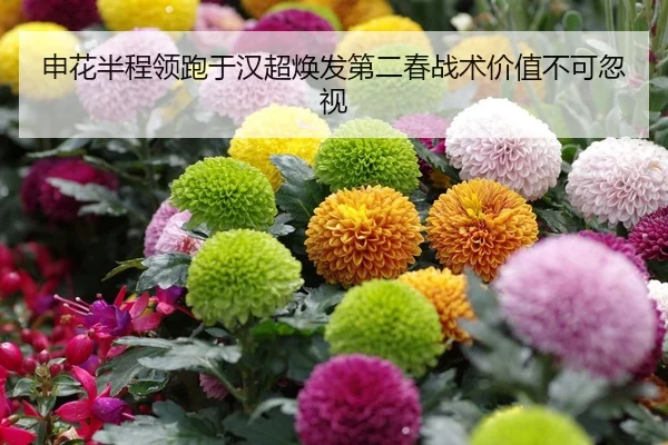 shen-hua-ban-cheng-ling-pao-yu-han-chao-huan-fa-di-er-chun-zhan-shu-jia-zhi-bu-ke-hu-shi-2-686.jpg