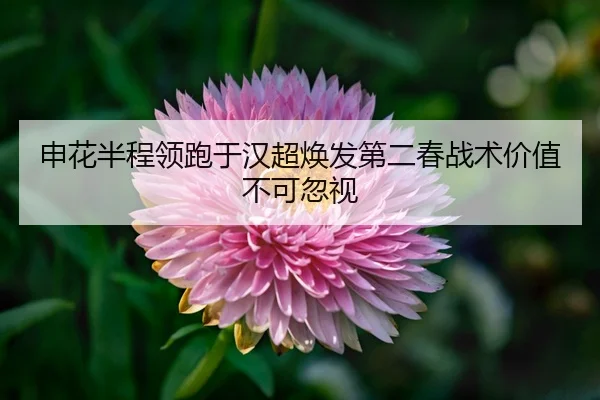 shen-hua-ban-cheng-ling-pao-yu-han-chao-huan-fa-di-er-chun-zhan-shu-jia-zhi-bu-ke-hu-shi-3-335.jpg