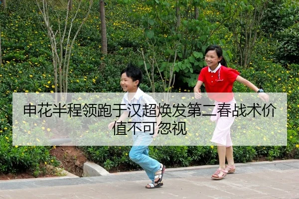 申花半程领跑于汉超焕发第二春战术价值不可忽视