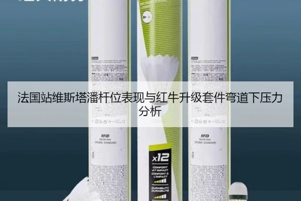 法国站维斯塔潘杆位表现与红牛升级套件弯道下压力分析