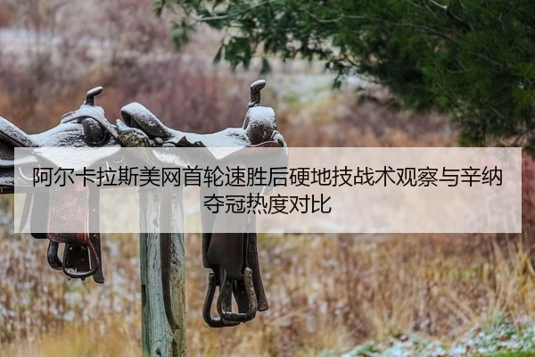 a-er-ka-la-si-mei-wang-shou-lun-su-sheng-hou-ying-di-ji-zhan-shu-guan-cha-yu-xin-na-duo-guan-re-du-dui-bi-2-171.jpg